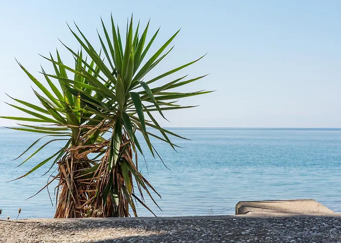 Γκαρσονιέρα 1 Δίπλα Στη Θάλασσα! 3* Antikyra